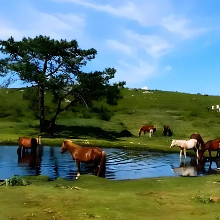 Moderno Y Acogedor A 3 Min De La Playa, بايونا
